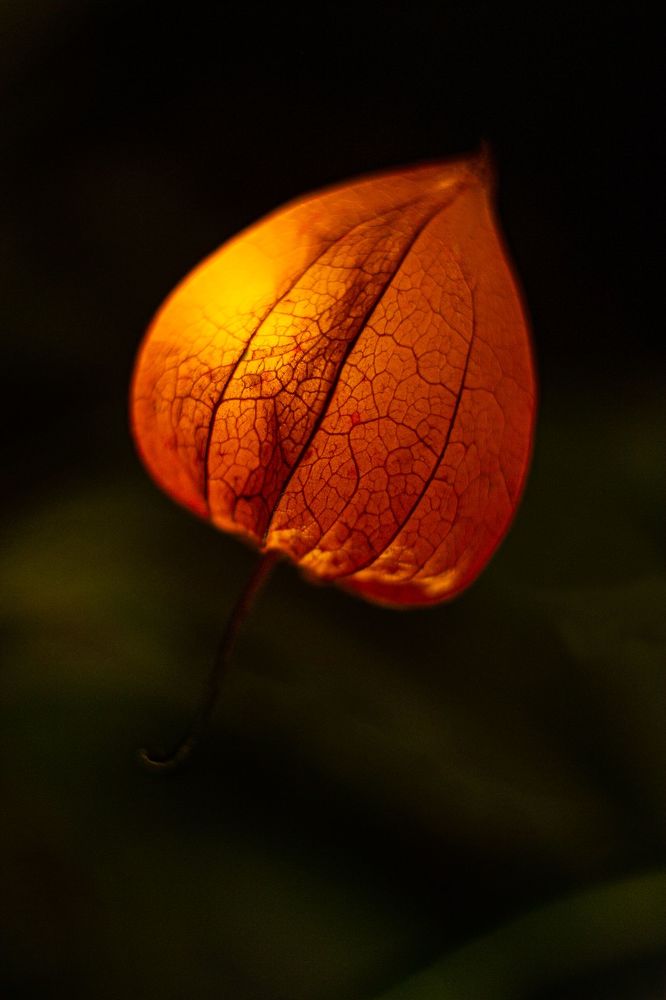 Photograph by Анастасия Смирнова