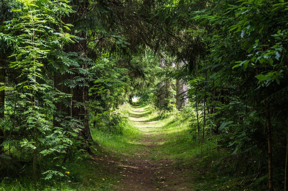 Photograph by Андрей Панин