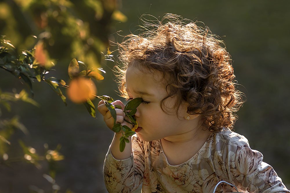 Фотография автора NORMA SÁENZ