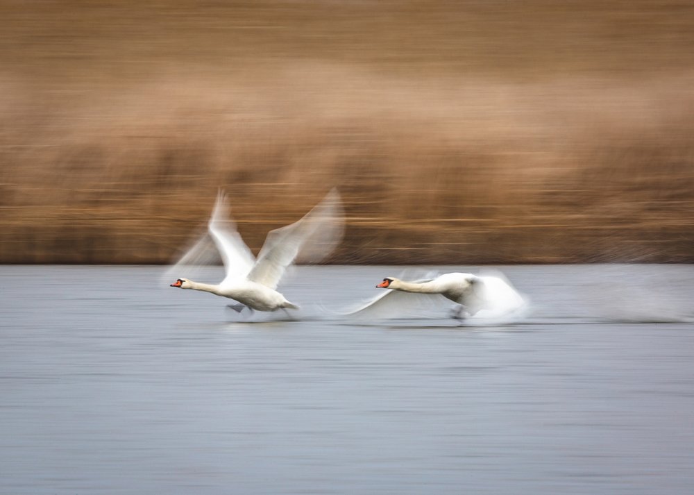 Photograph by Алексей Кашин