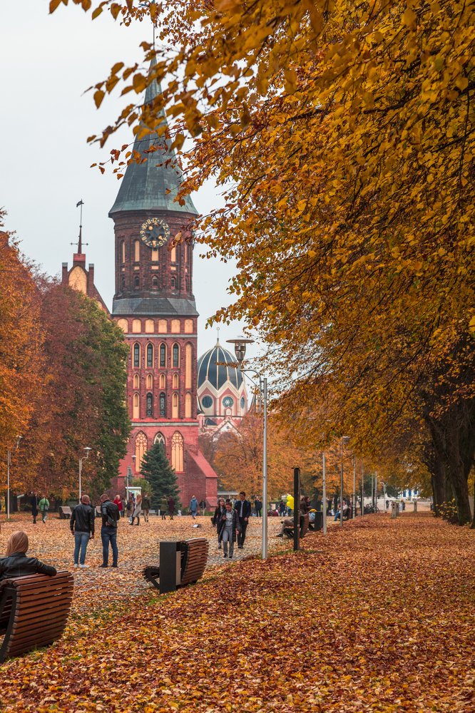 Осенний остров Канта