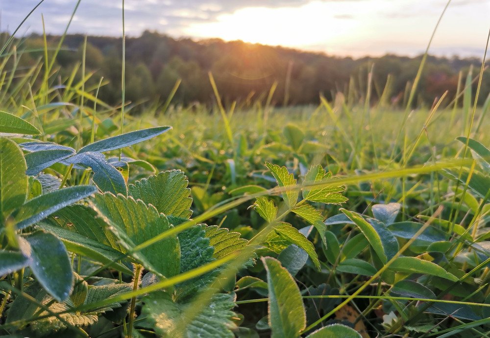 Photograph by Айрат Миназев