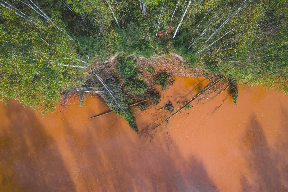 Photograph by Алексей Кашин