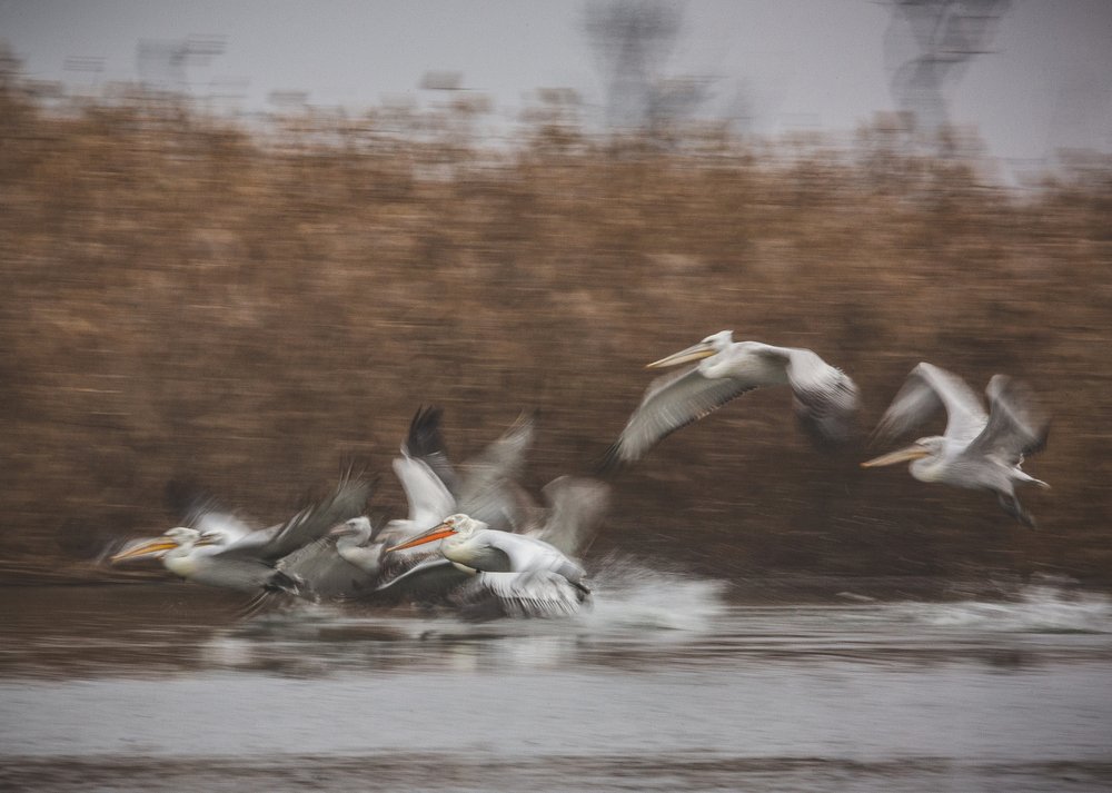 Photograph by Алексей Кашин