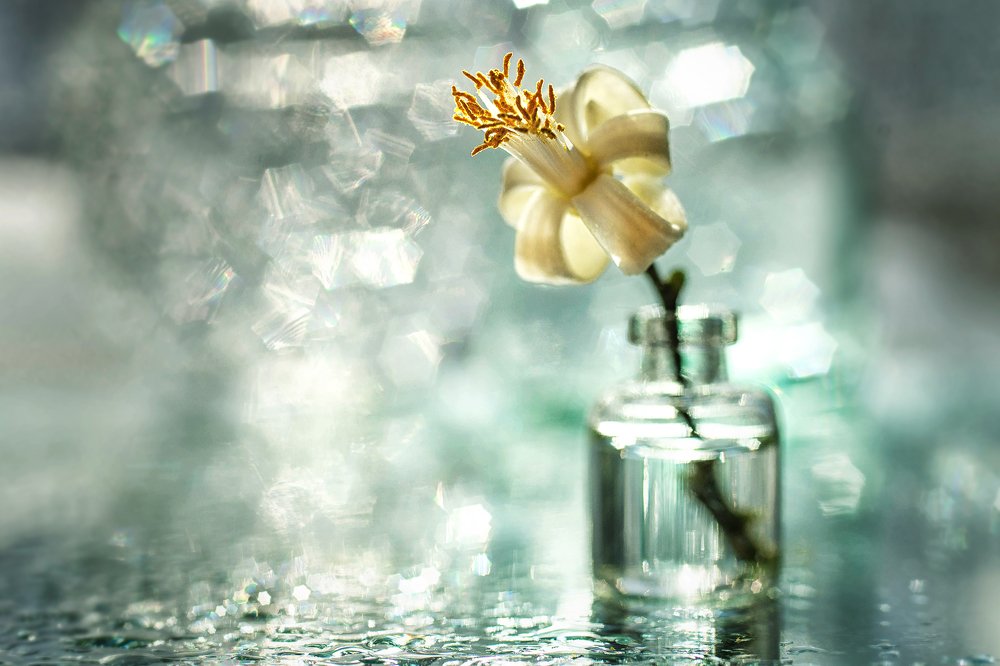 Photograph by Виктория Семернова