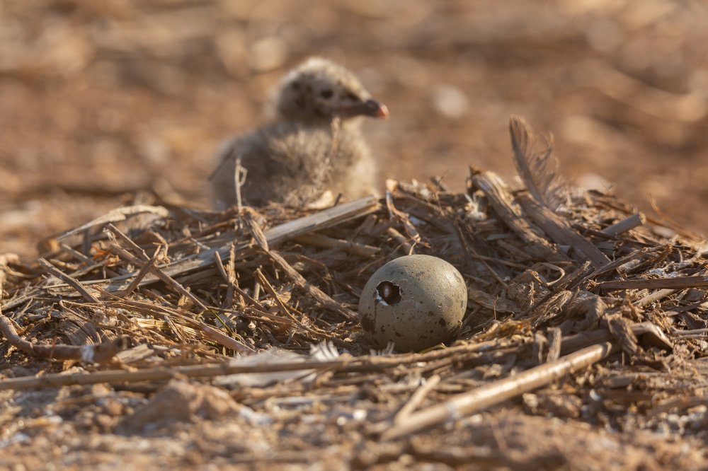 Photograph by Алексей Кашин