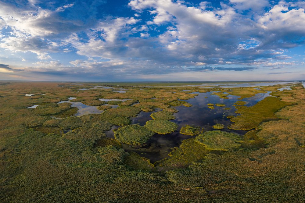 Photograph by Алексей Кашин