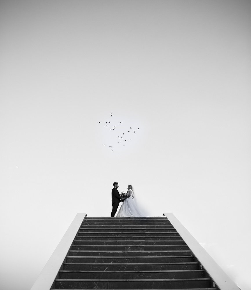 Photograph by Payam Taheri