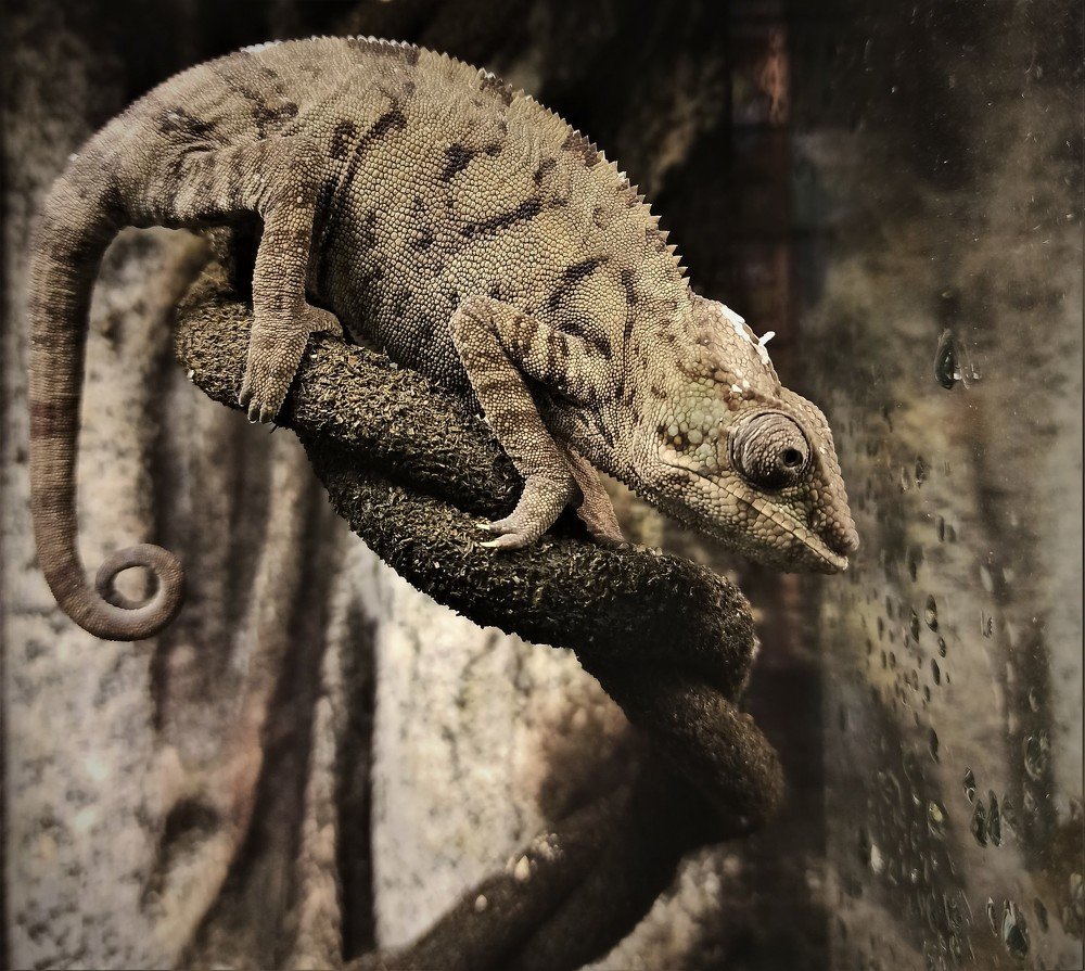 Photograph by Сергей Лобозов