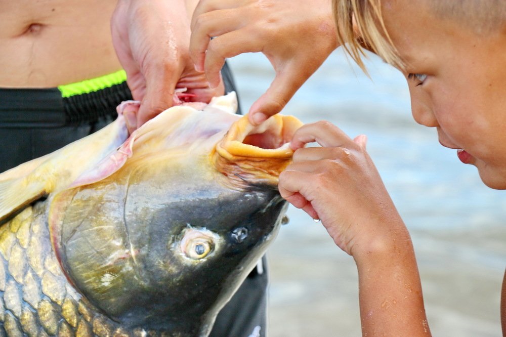 Познавание мира