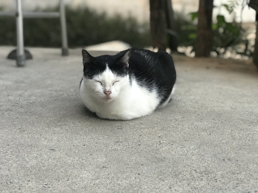 Photograph by Мария Шрейдер