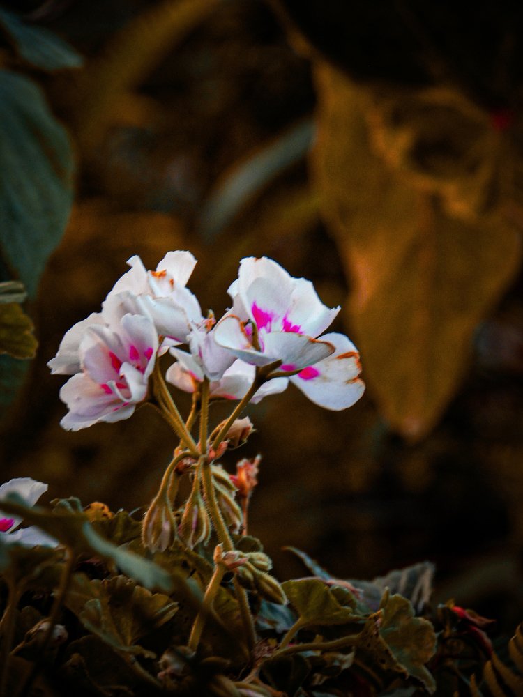 Photograph by Marvin Daniel Marroquin Najera