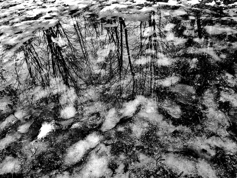 Photograph by Александр Костин