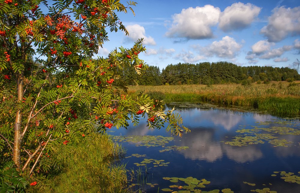 На пороге осени.