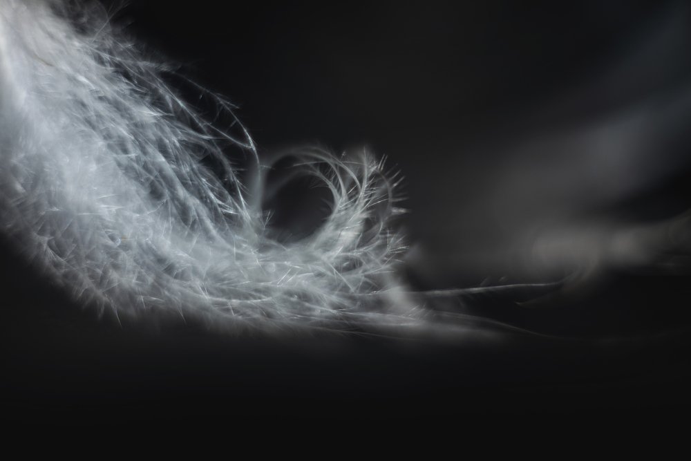 Photograph by Екатерина Иванова