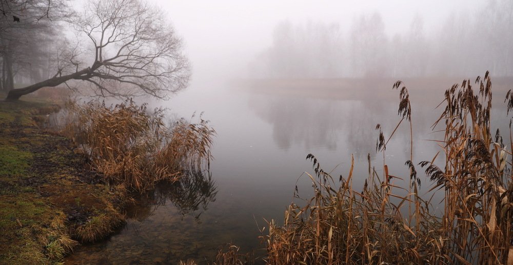 Свислочь в тумане