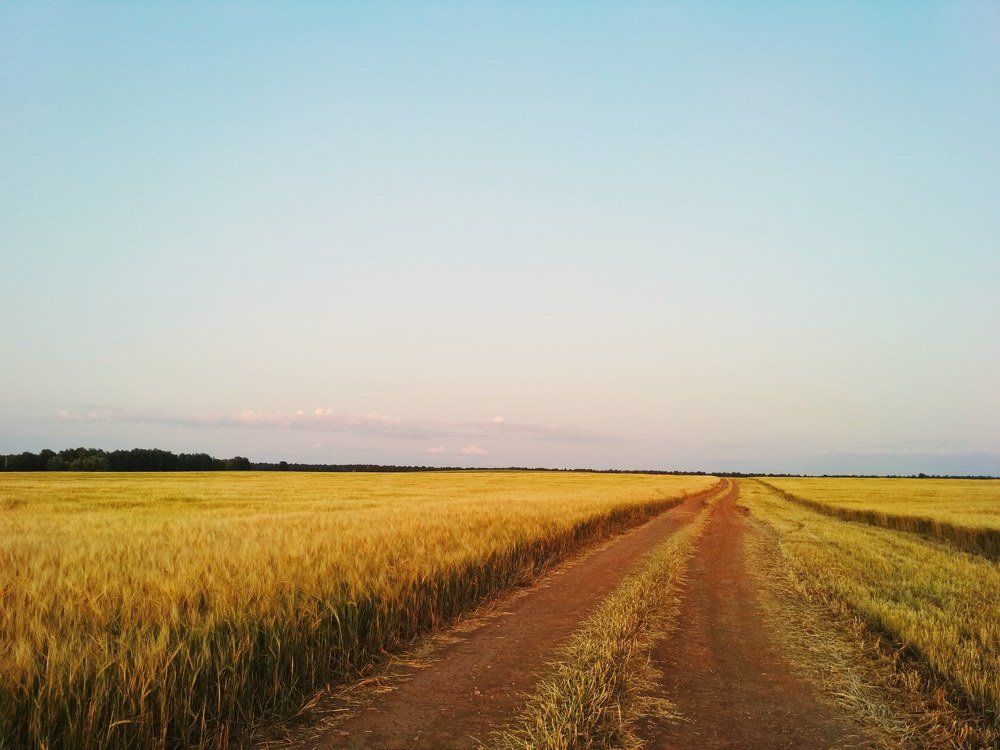 Photograph by Айсылу Гизатуллина