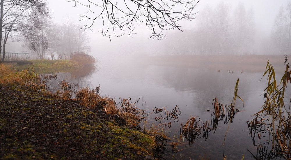 Туман на реке