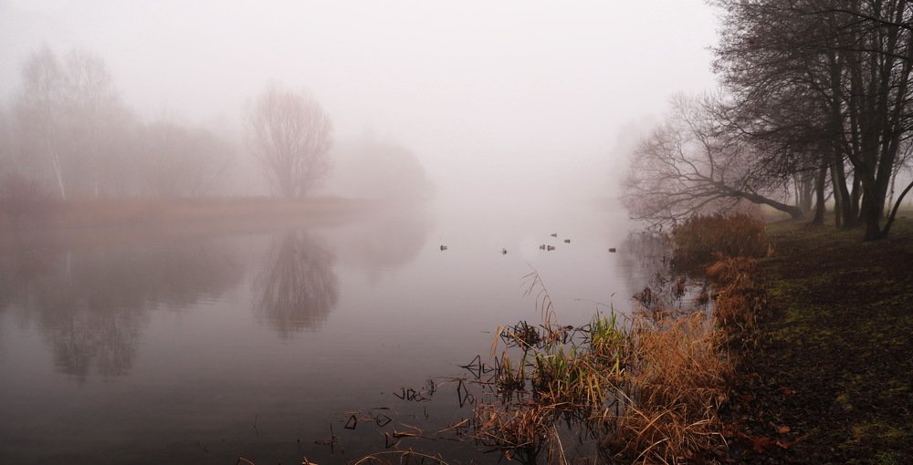 На реке Свислочь