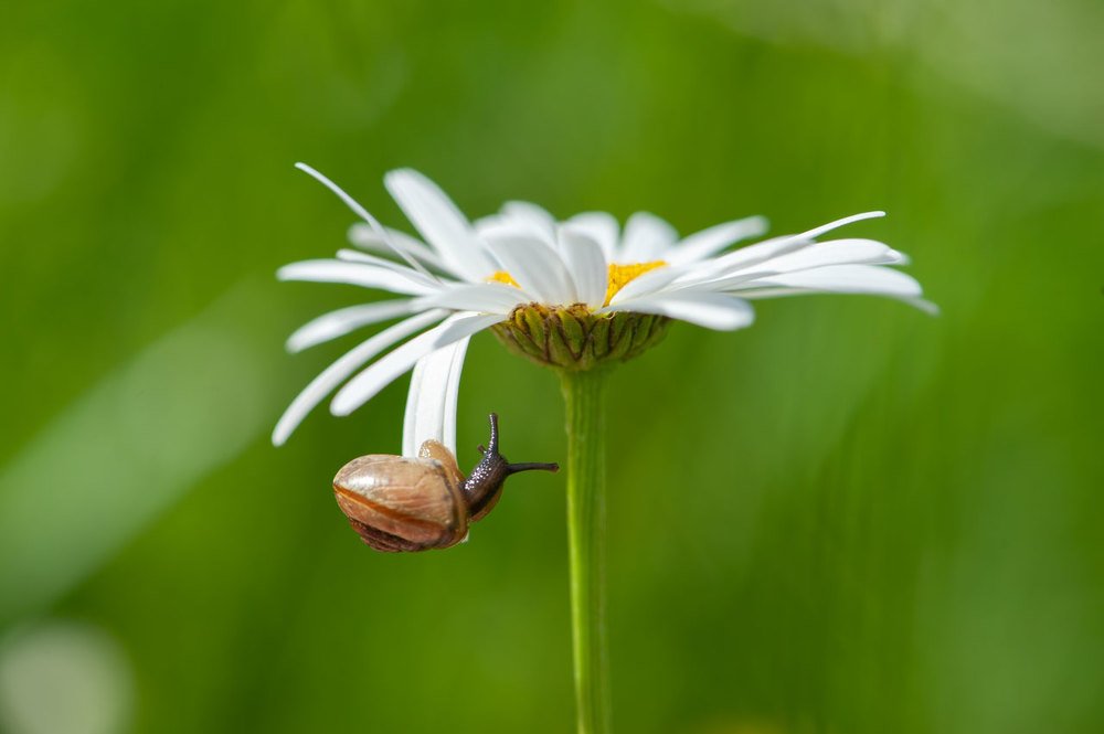 Photograph by Карина Воробьева