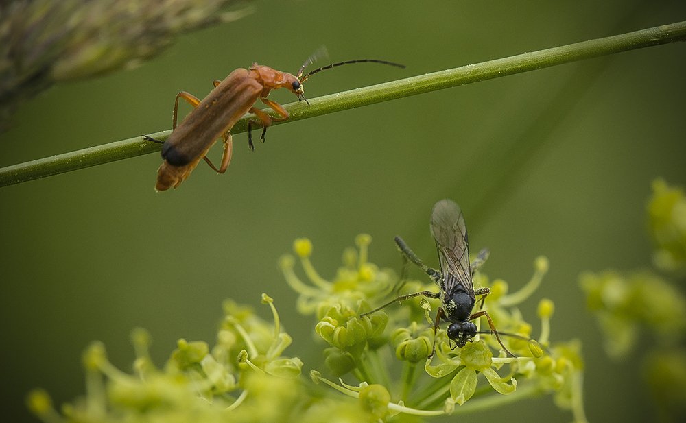 Photograph by Евгений Барзенков