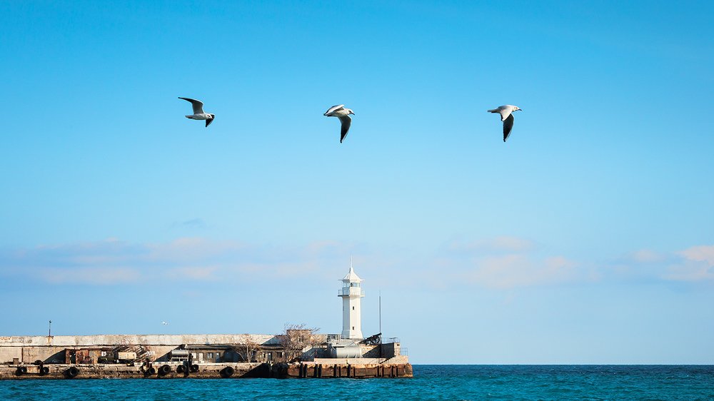 Photograph by Владимир Каюков