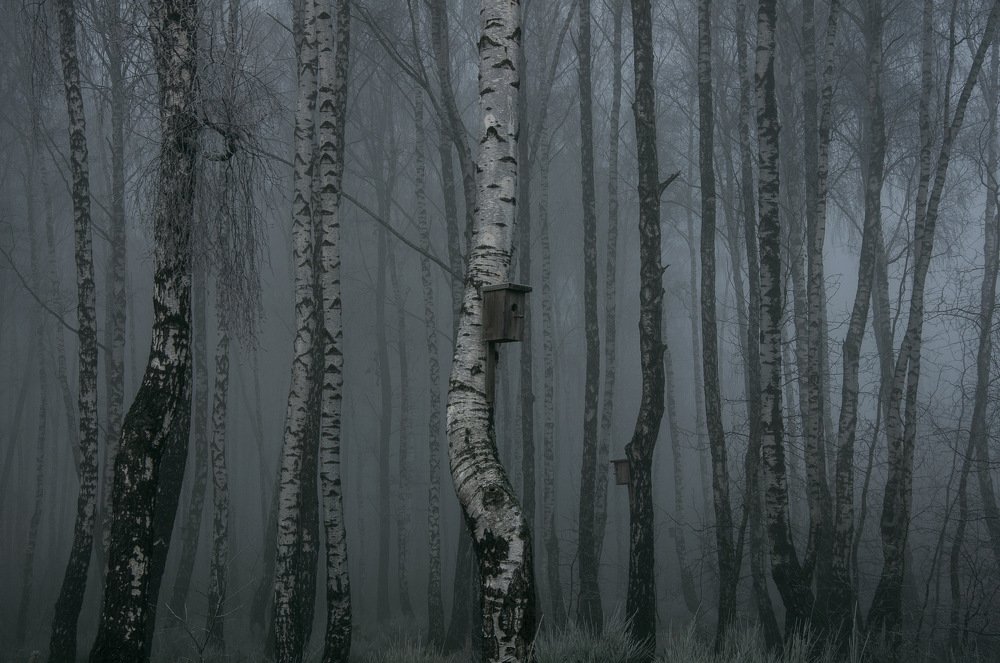 Photograph by Егор Фадеев