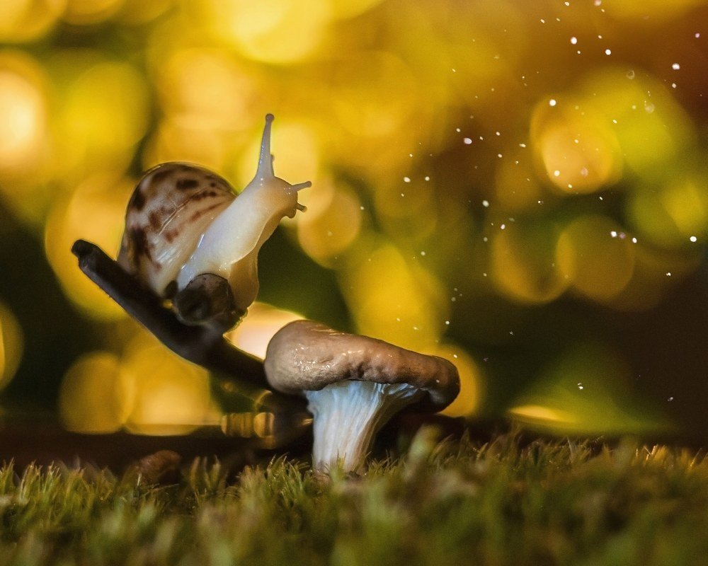 Волшебство