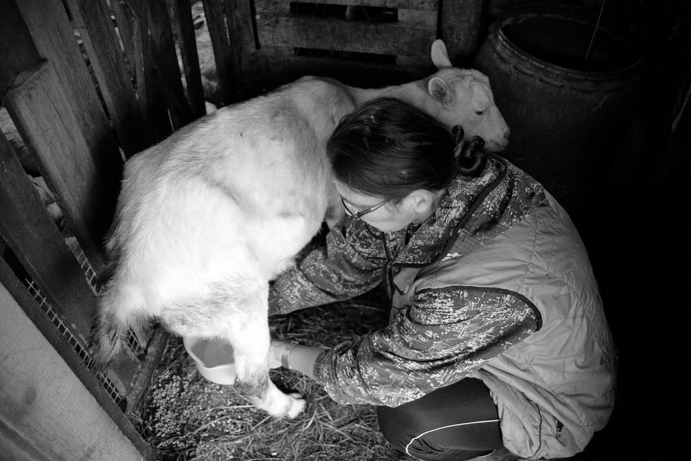 Photograph by Ольга Аристова