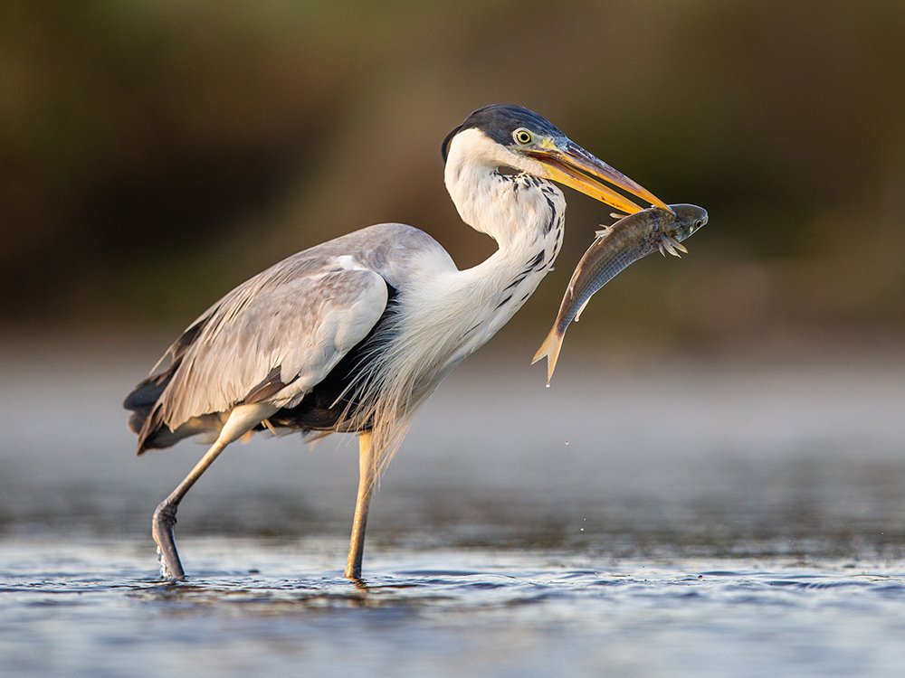 Photograph by Andrés Ruggeri
