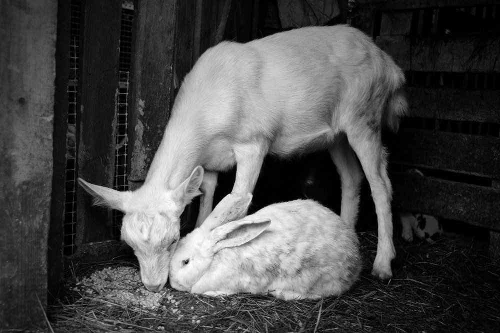 Photograph by Ольга Аристова