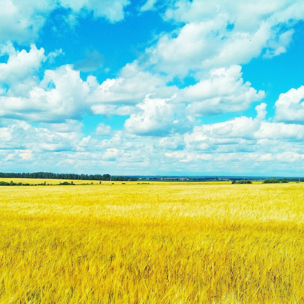 Photograph by Айсылу Гизатуллина