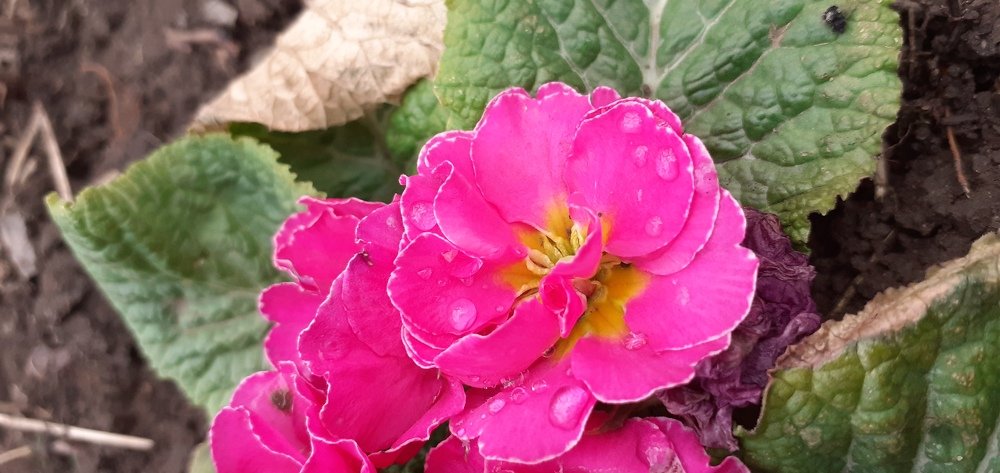 Photo #4348675