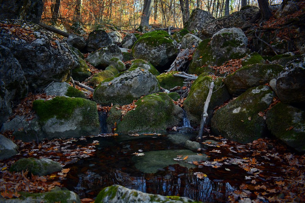 Photograph by Михаил Колтухов