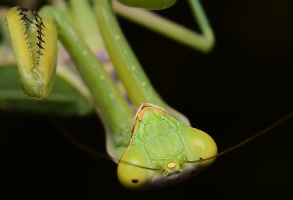 Photograph by Михаил Колтухов