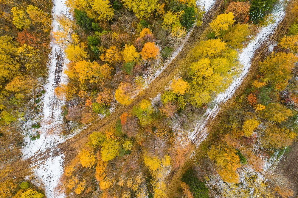 Синтез времен года
