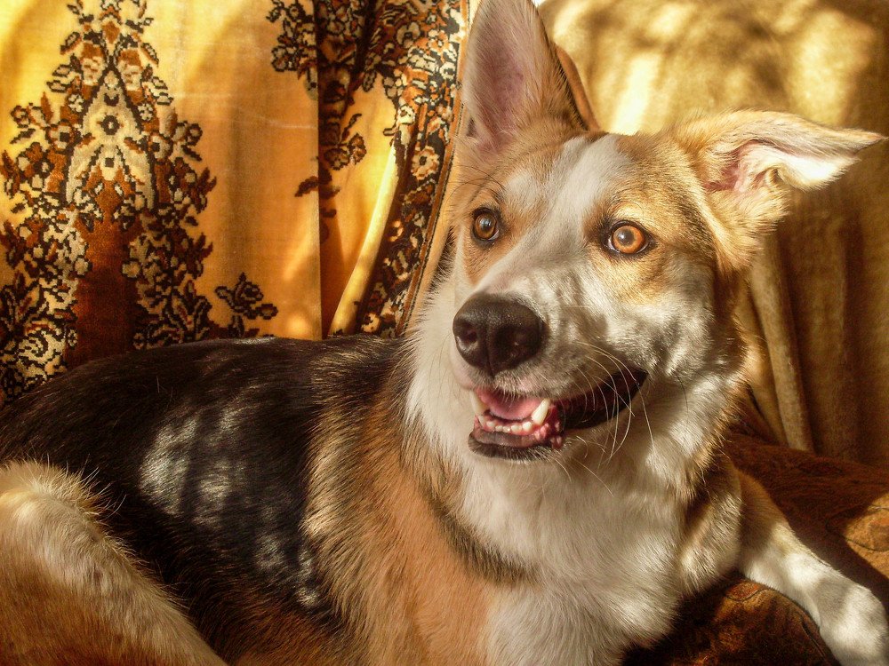 Photograph by Руслан Карабаза