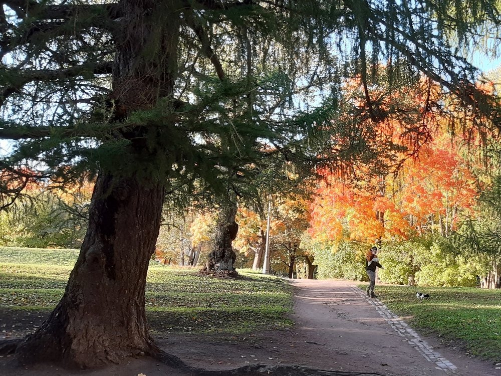 Все краски осени