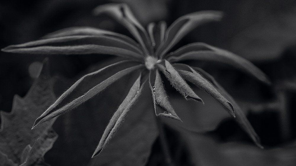 Photograph by Евгений Барзенков