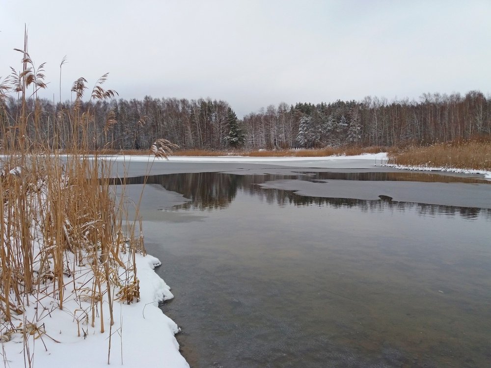Снег выпал только в феврале...