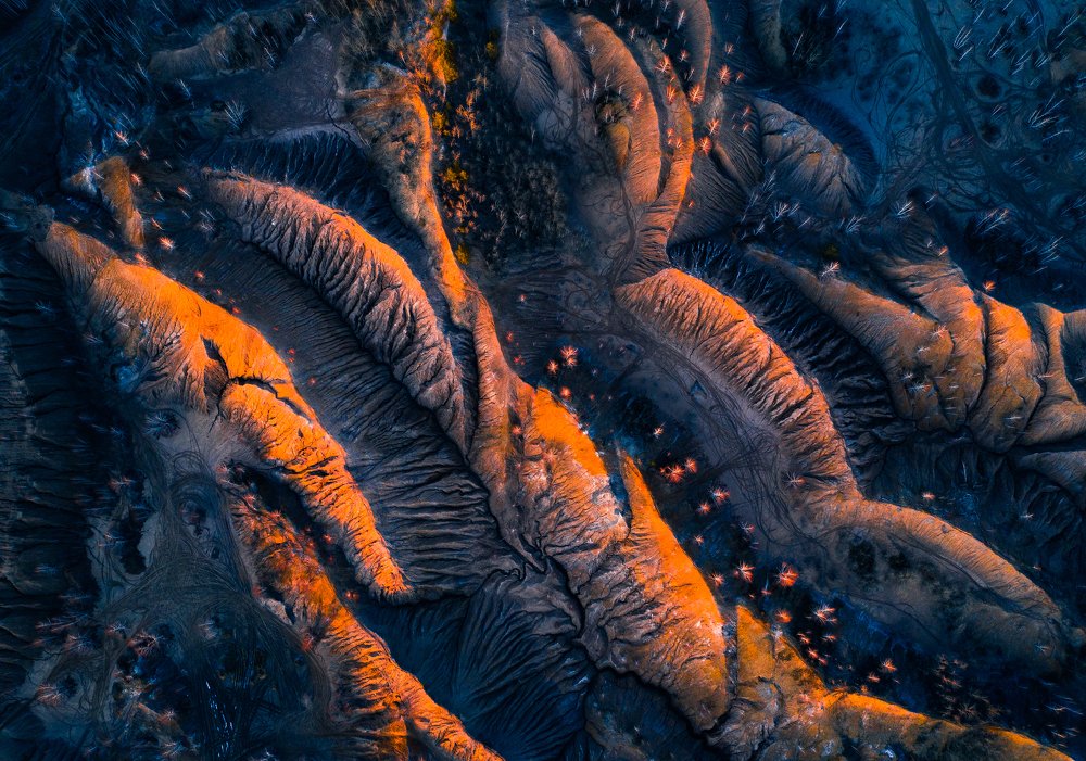 Фотография автора Гарбузов Илья