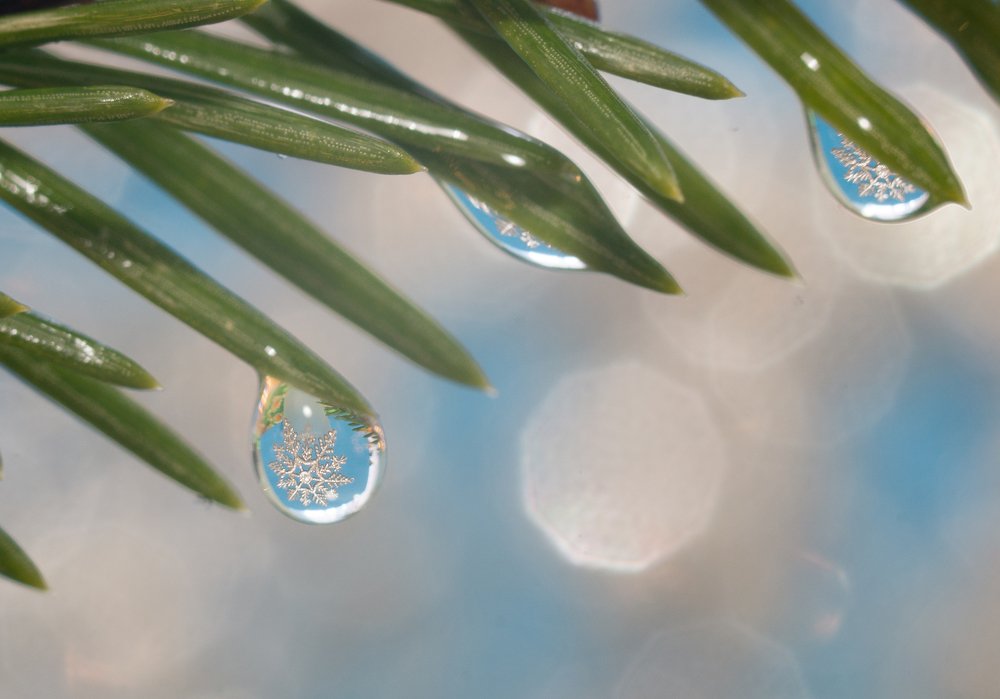 Photograph by Татьяна Пименкова