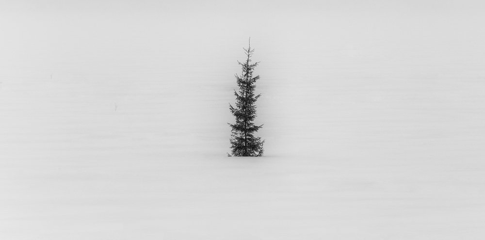 Photograph by Владимир Васенев