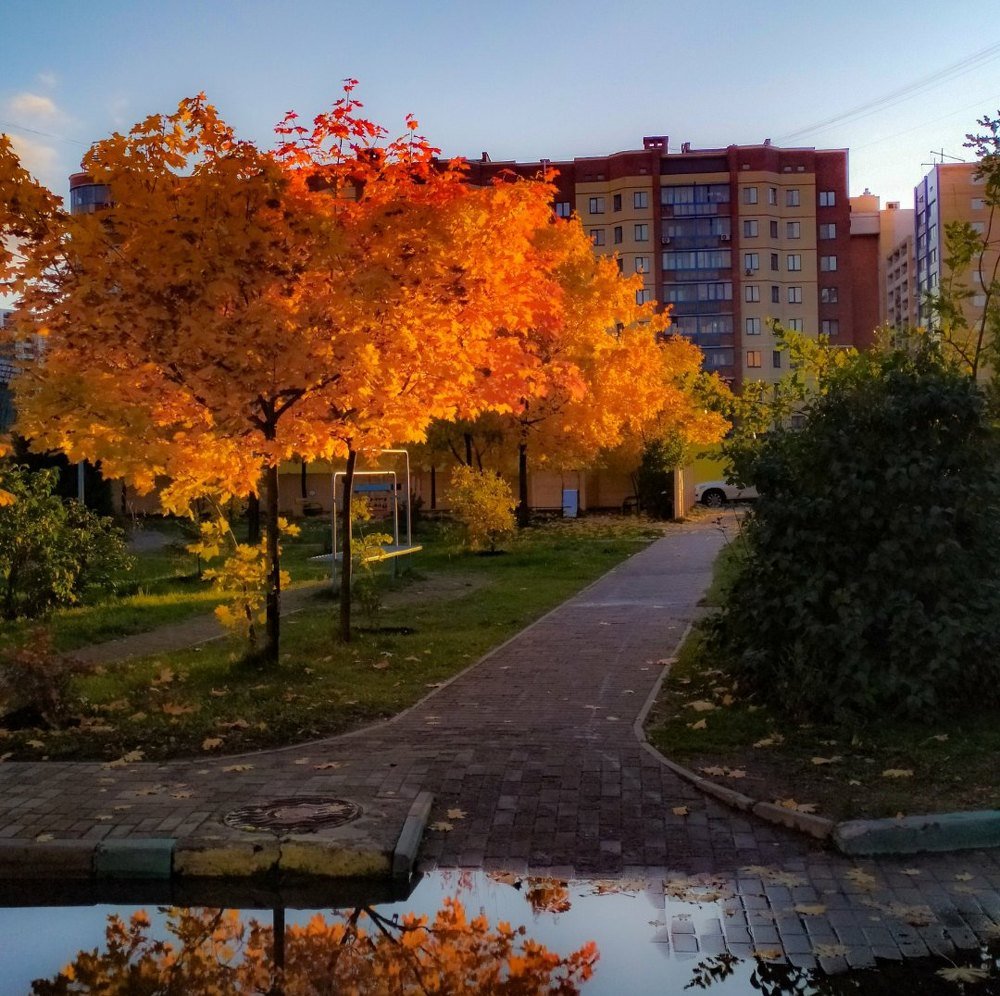 Photograph by Руслан Карабаза