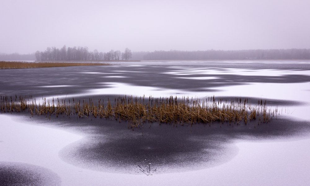 Photograph by Дмитрий Котов