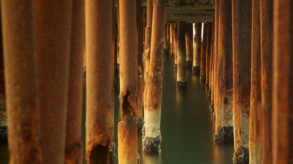 Photograph by Семенюк Василий