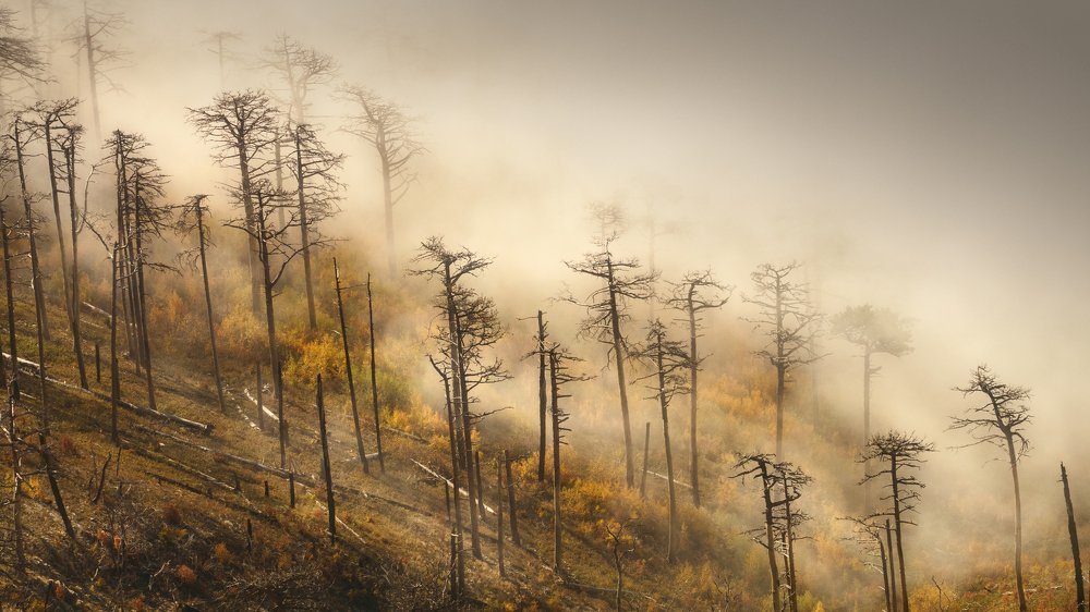 Photograph by Семенюк Василий