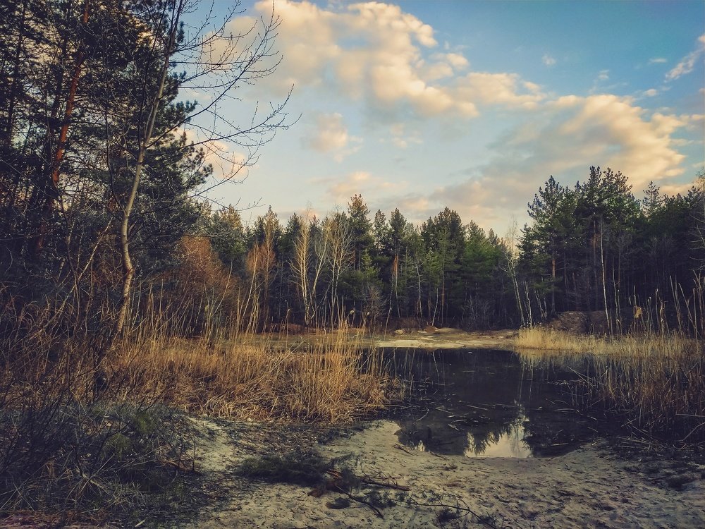 Солнечный день.