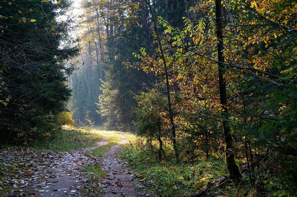 Фотография автора Valery Bel@kov