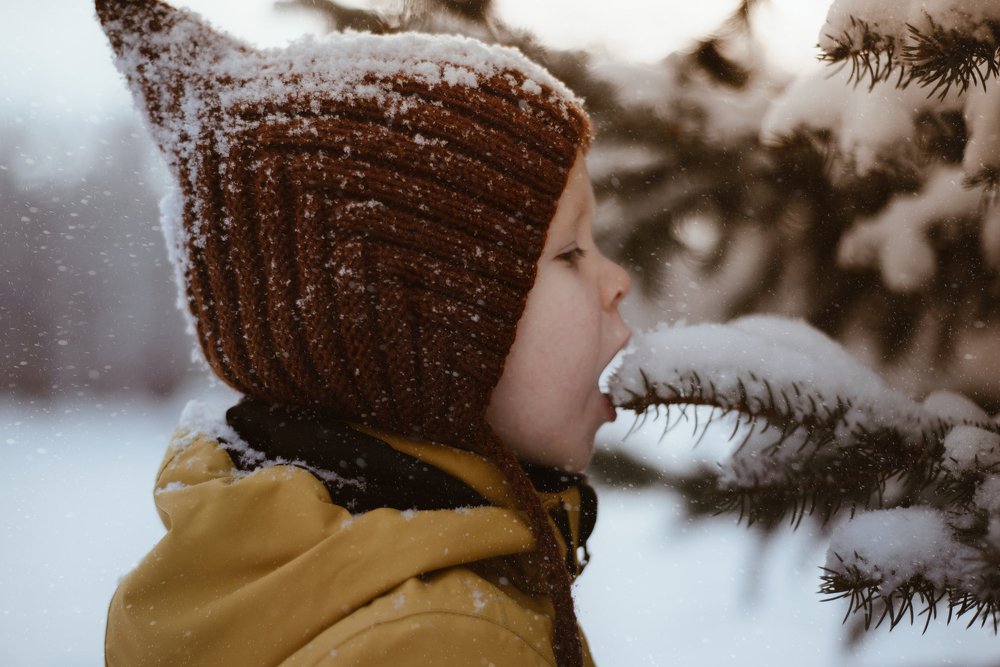 Photograph by Анастасия Дмитриева